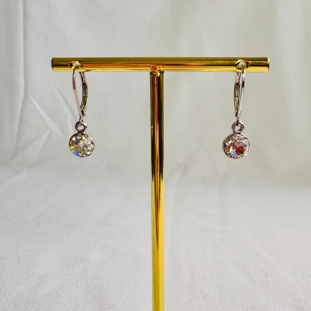 Elegant Silver Crystal Drop Earrings